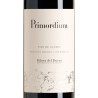 Primordium