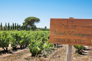 Bodegas Castillo de Cuzcurrita