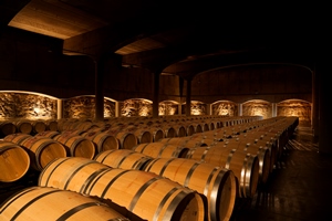 Bodegas Castillo de Cuzcurrita