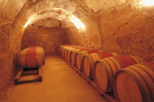 Bodegas Sierra Cantabría ILOVEWINE